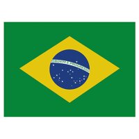 Flagge Brasilien 90x150cm mit Befestigungsösen