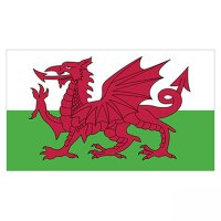 Flagge Wales 90x150cm mit Befestigungsösen
