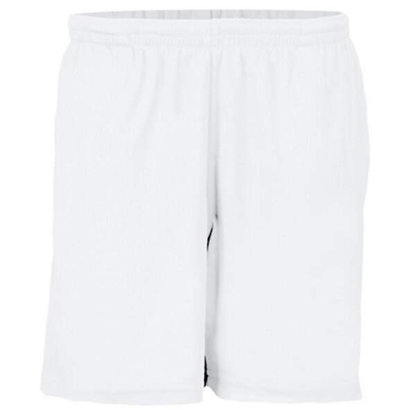 Arctic White